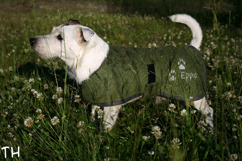 100703 eppu2.jpg - Eppu and new wetcoat